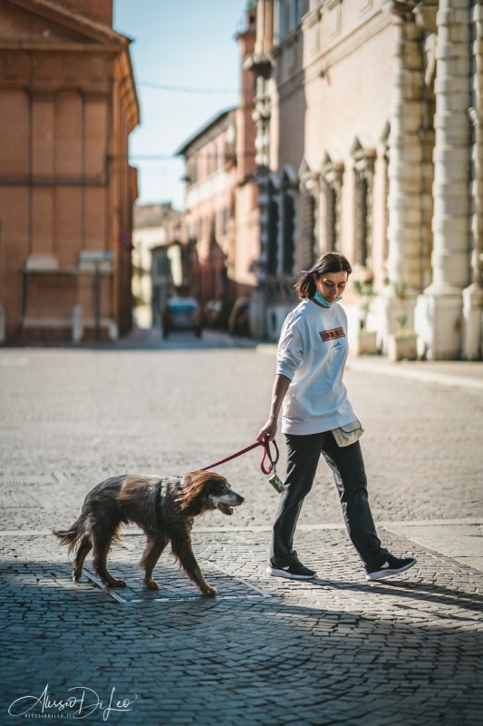 Sony A7RIII – Sony 85mm GM f/1.4