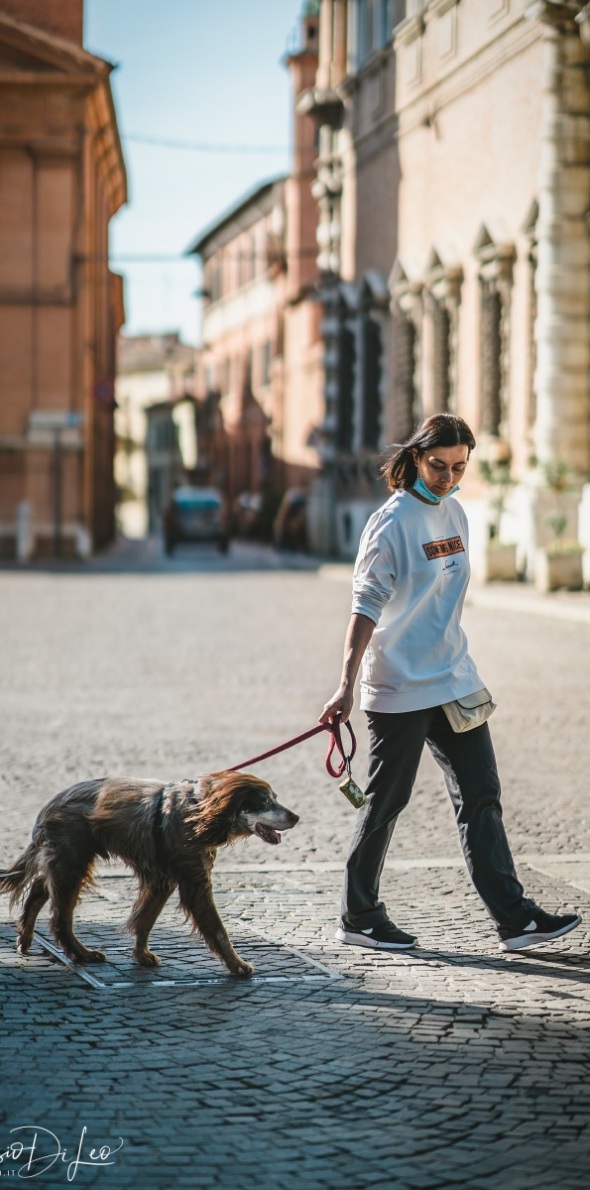 Sony A7RIII – Sony 85mm GM f/1.4