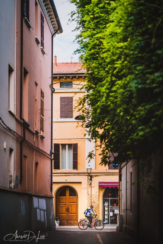 Sony A7RIII – Sony 85mm GM f/1.4