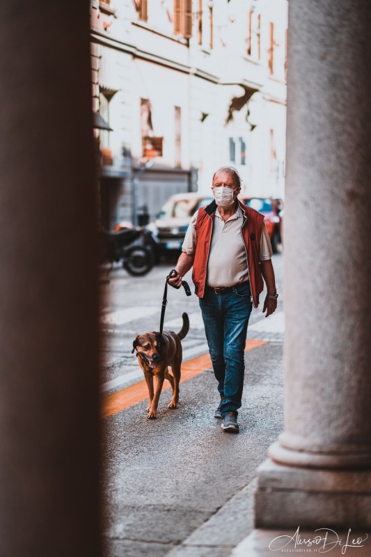 Sony A7RIII – Sony 85mm GM f/1.4