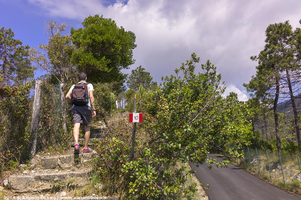 Trekking Liguria