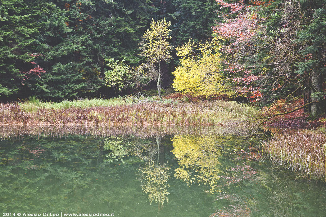 Lago Traversari