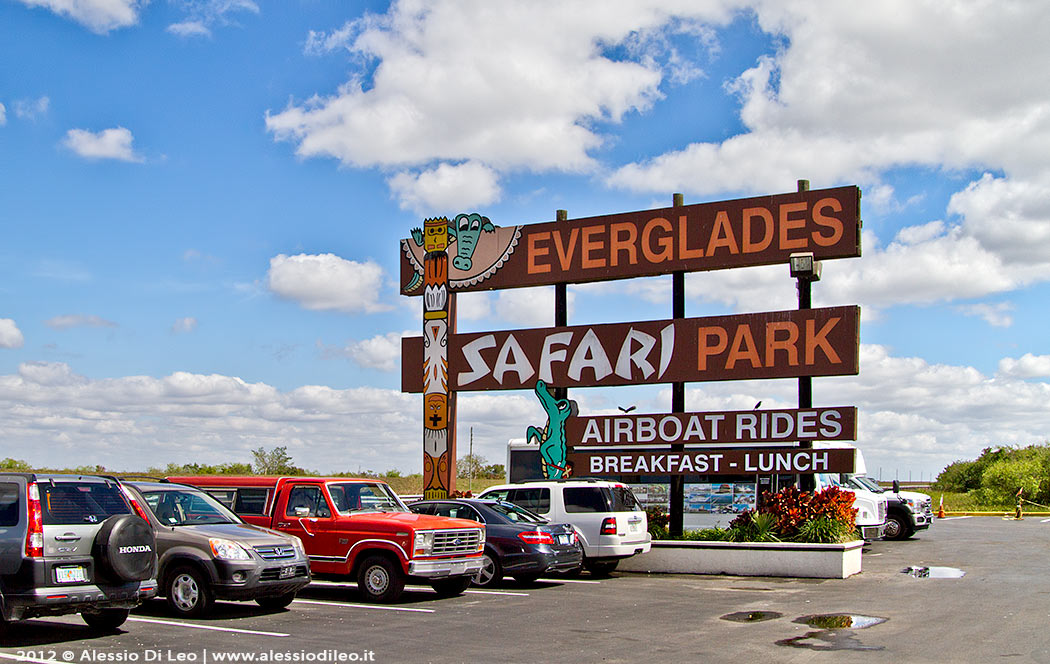 Alligator farm everglades