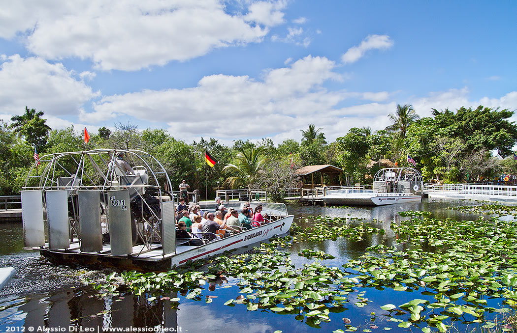 Florida alligator farm