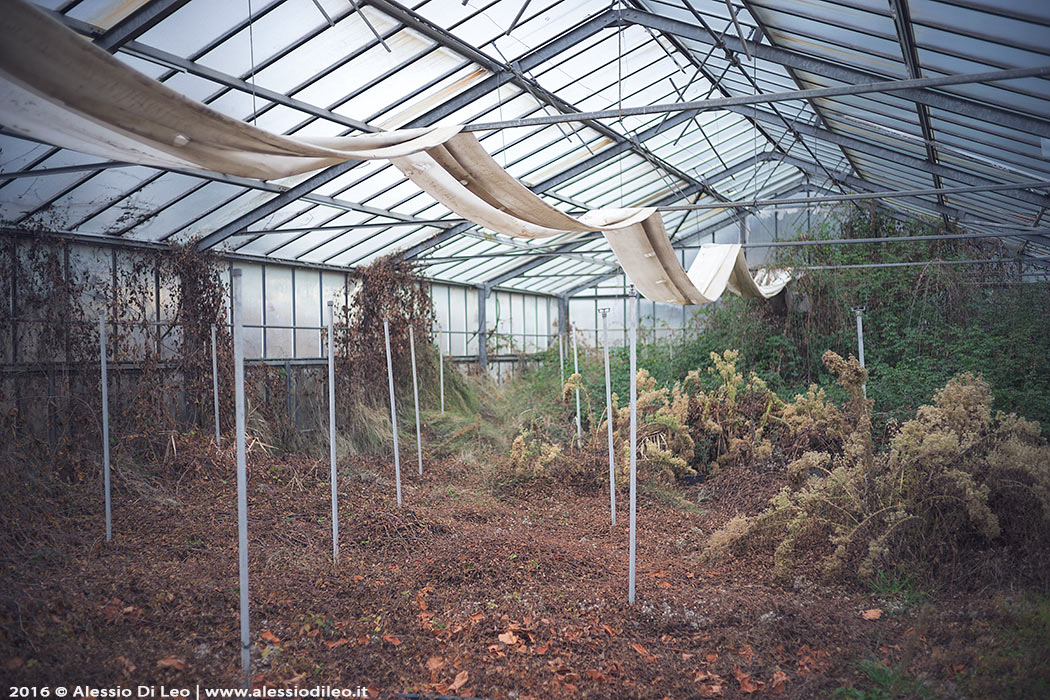 Urbex serra abbandonata Forlì