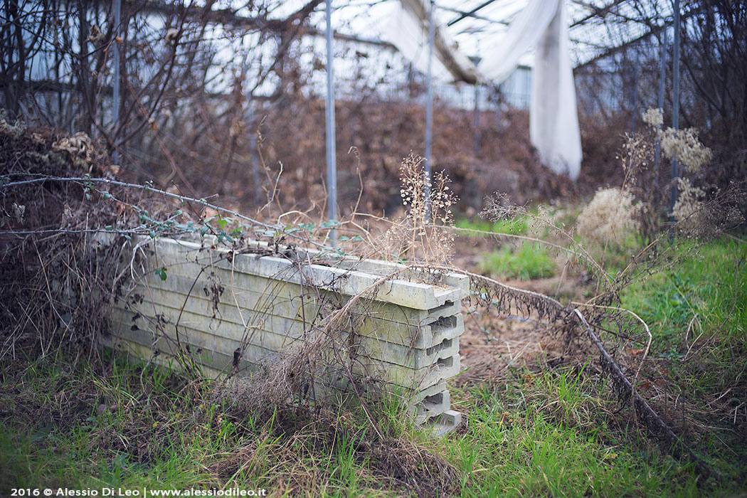 Urbex serra abbandonata Forlì