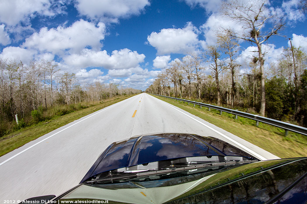 Viaggio everglades