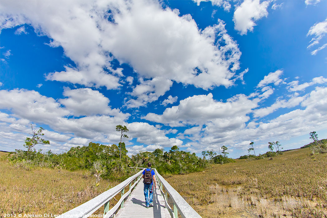 Everglades prateria