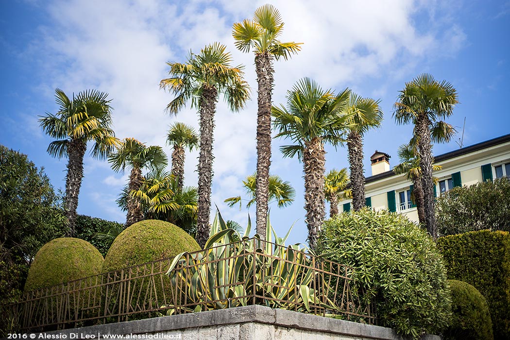 Lago garda lazise