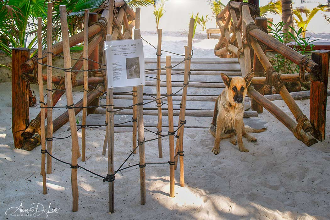 Holbox hotel