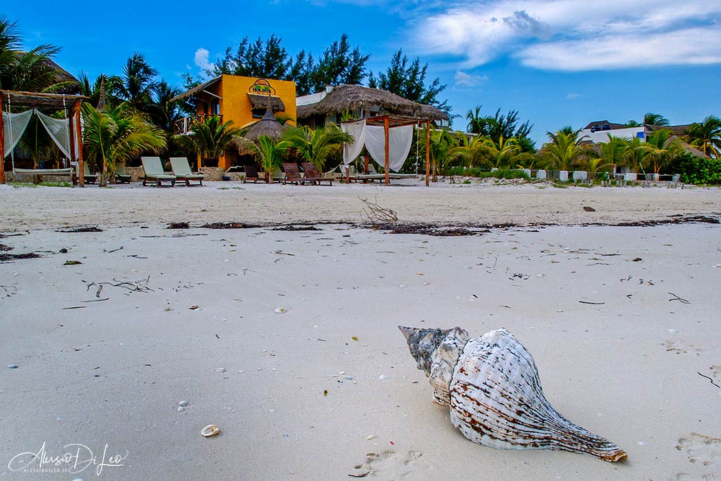 Holbox isla