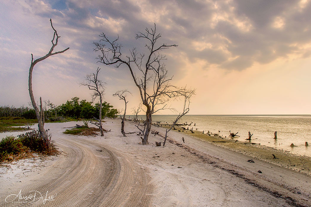 Spiaggia holbox