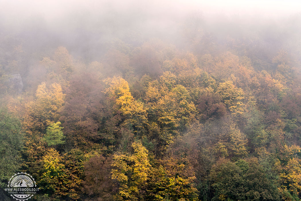 bayerischer wald National Park