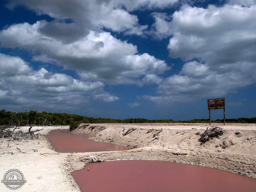 Rio lagartos saline