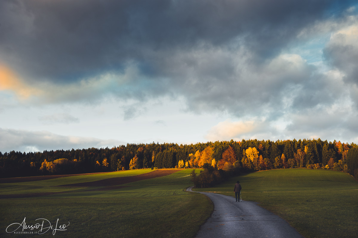 Foresta bavarese