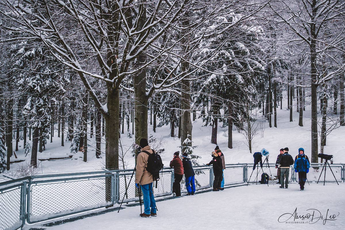 bayerische park