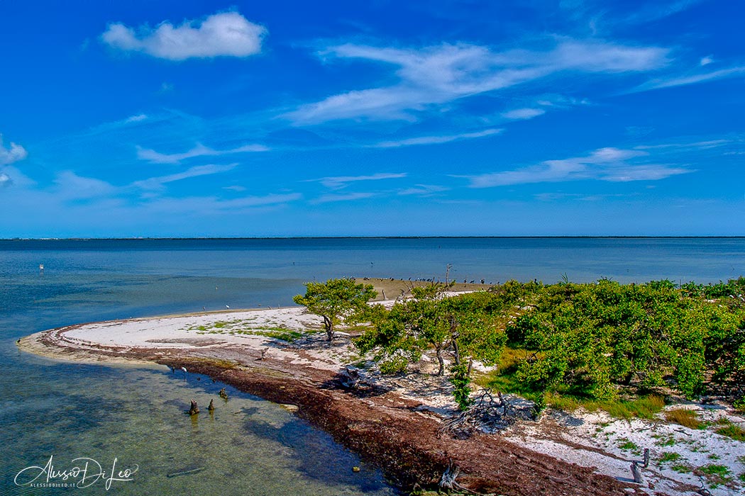 Escursioni Holbox