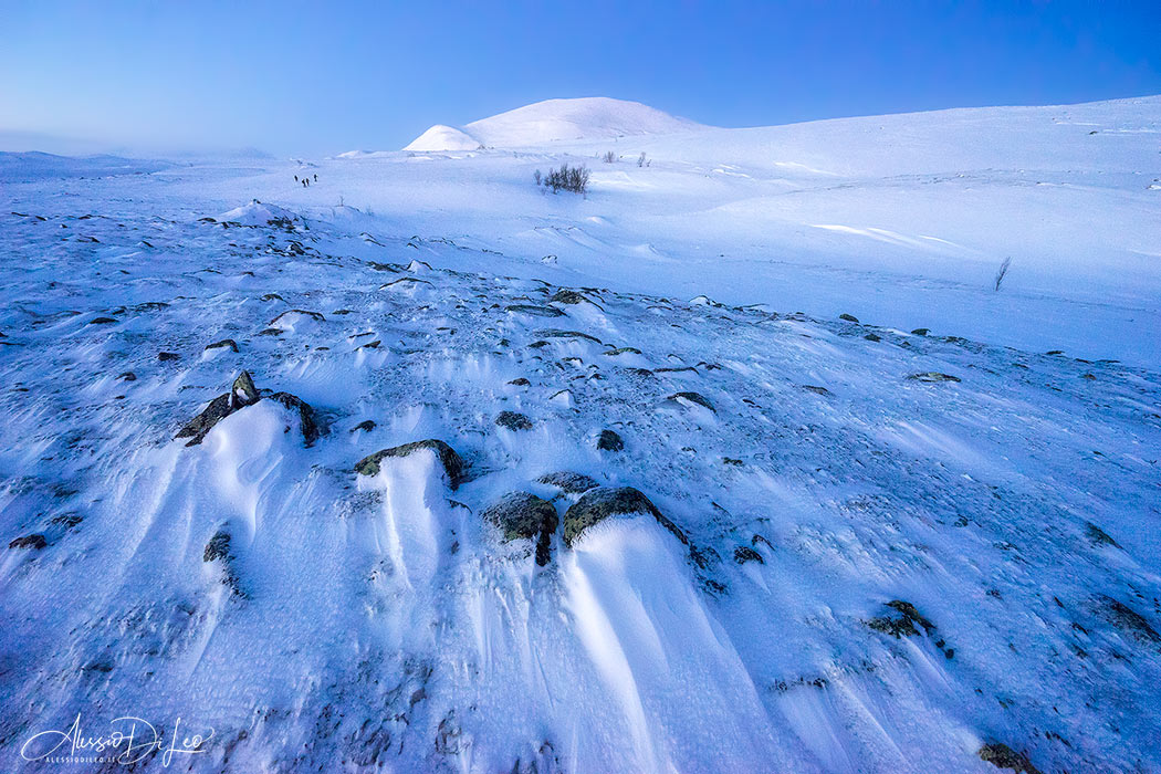 Dovrefjell national park