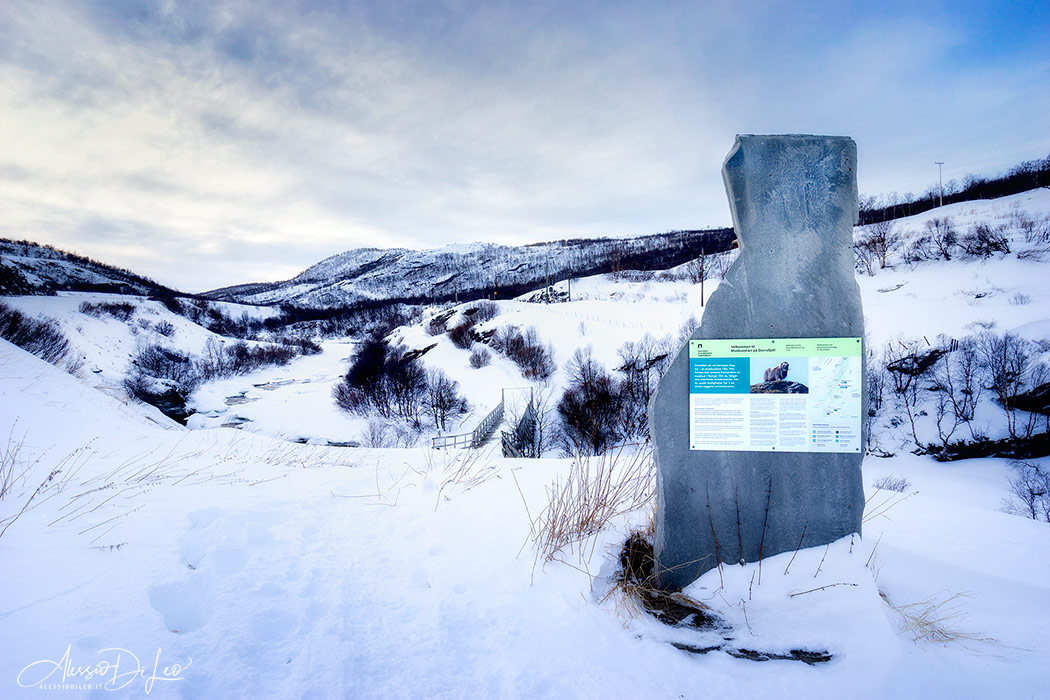 Dovrefjell norvegia