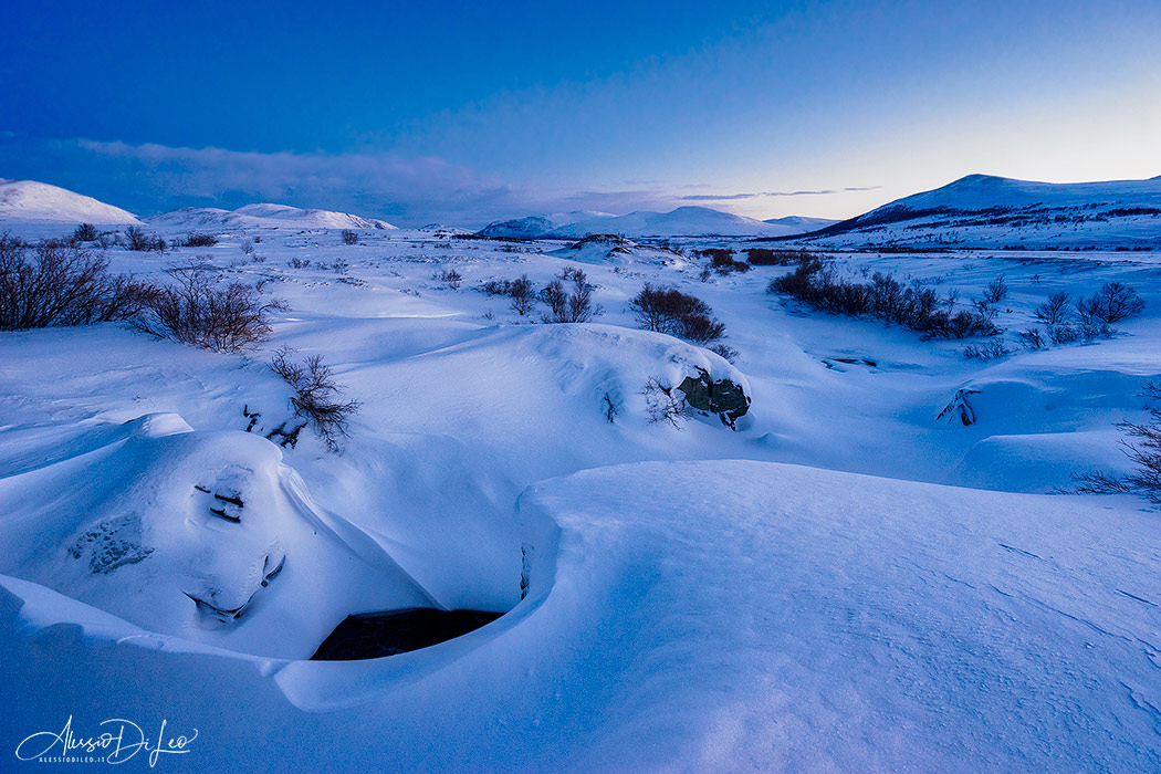 Parco nazionale dovrefjell