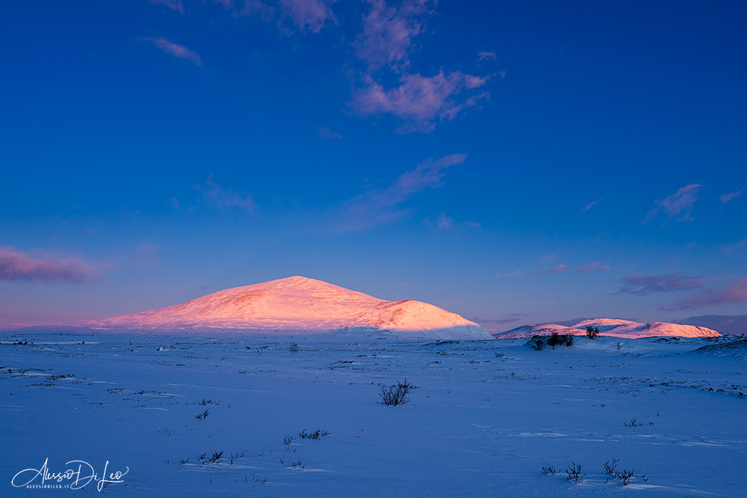 dovrefjell national park